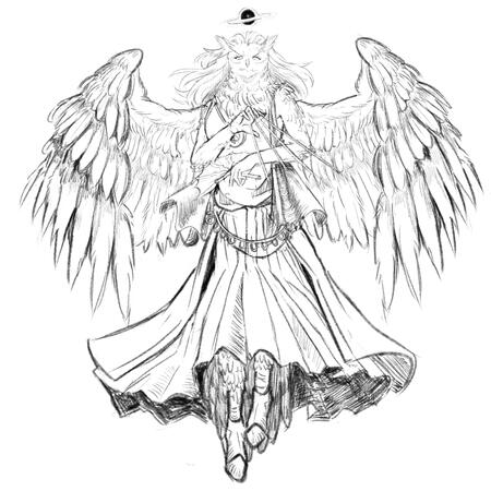 owl